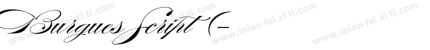 Burgues Script 常规(字体转换